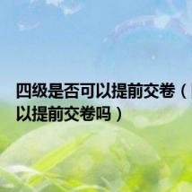 四级是否可以提前交卷（四级可以提前交卷吗）