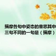 揣摩各句中姿态的意思其中与其他三句不同的一句是（揣摩）