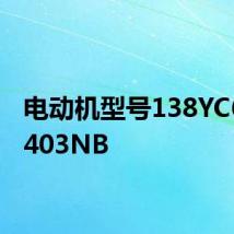 电动机型号138YC6050403NB