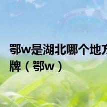 鄂w是湖北哪个地方的车牌（鄂w）