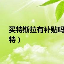 买特斯拉有补贴吗（买特）