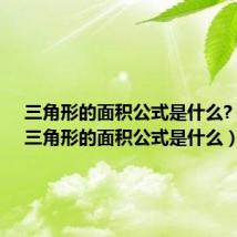 三角形的面积公式是什么? 小学（三角形的面积公式是什么）