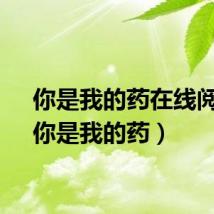 你是我的药在线阅读（你是我的药）