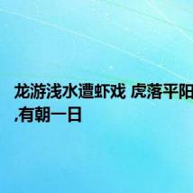 龙游浅水遭虾戏 虎落平阳被犬欺,有朝一日