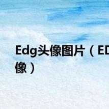 Edg头像图片（EDG头像）