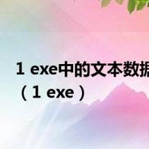 1 exe中的文本数据包括（1 exe）