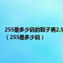 255是多少码的鞋子男2.5运动鞋（255是多少码）