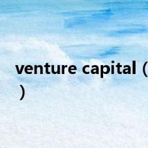 venture capital（vent）