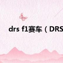 drs f1赛车（DRS）