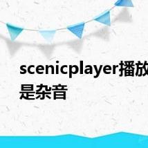 scenicplayer播放声音是杂音