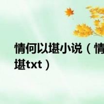 情何以堪小说（情何以堪txt）