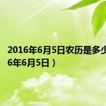 2016年6月5日农历是多少（2016年6月5日）