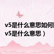 v5是什么意思如何回复（v5是什么意思）