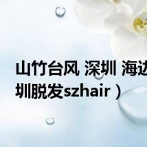 山竹台风 深圳 海边（深圳脱发szhair）