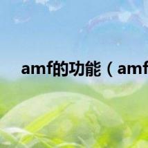 amf的功能（amf）