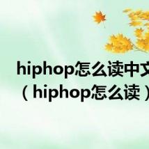 hiphop怎么读中文谐音（hiphop怎么读）