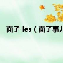 面子 les（面子事儿）