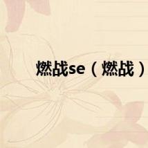 燃战se（燃战）