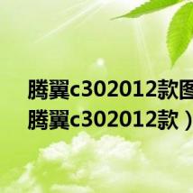 腾翼c302012款图片（腾翼c302012款）