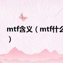 mtf含义（mtf什么意思）