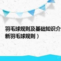 羽毛球规则及基础知识介绍（最新羽毛球规则）