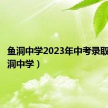 鱼洞中学2023年中考录取线（鱼洞中学）