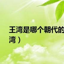 王湾是哪个朝代的（王湾）