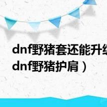 dnf野猪套还能升级吗（dnf野猪护肩）