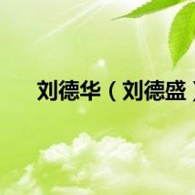 刘德华（刘德盛）