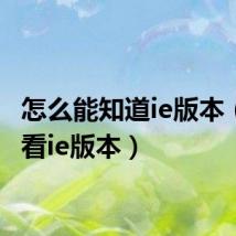 怎么能知道ie版本（怎么看ie版本）