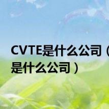 CVTE是什么公司（cvte是什么公司）