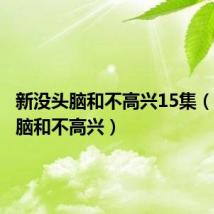 新没头脑和不高兴15集（新没头脑和不高兴）