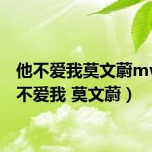 他不爱我莫文蔚mv（他不爱我 莫文蔚）