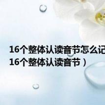 16个整体认读音节怎么记得快（16个整体认读音节）