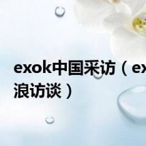 exok中国采访（exok新浪访谈）