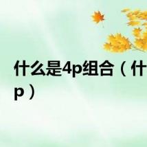 什么是4p组合（什么是4p）