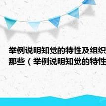 举例说明知觉的特性及组织原则有那些（举例说明知觉的特性）