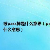 被pass掉是什么意思（pass掉是什么意思）