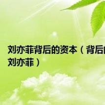 刘亦菲背后的资本（背后的故事 刘亦菲）