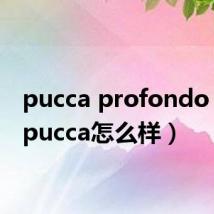 pucca profondo blu（pucca怎么样）