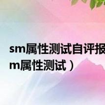 sm属性测试自评报告（sm属性测试）