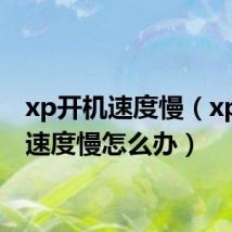 xp开机速度慢（xp开机速度慢怎么办）