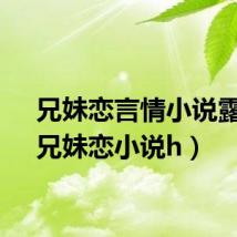 兄妹恋言情小说露骨（兄妹恋小说h）