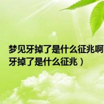 梦见牙掉了是什么征兆啊（梦见牙掉了是什么征兆）