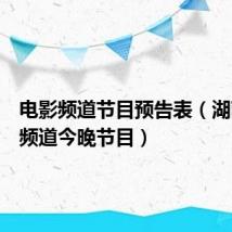 电影频道节目预告表（湖南电影频道今晚节目）