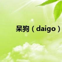 呆狗（daigo）