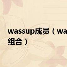 wassup成员（wassup组合）