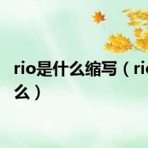 rio是什么缩写（rio是什么）