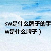 sw是什么牌子的手表（sw是什么牌子）