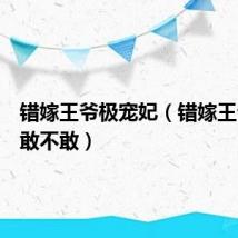 错嫁王爷极宠妃（错嫁王爷单挑敢不敢）